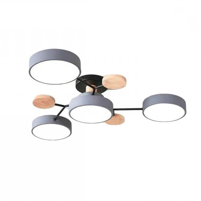 Ceiling Light - Branching Design, Stylish & Sustainable...