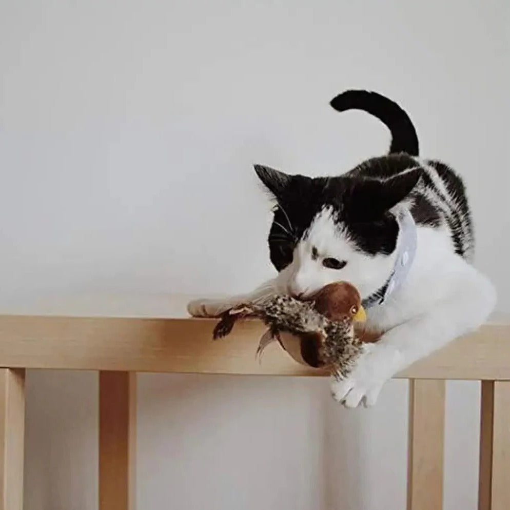 Interactive Sound Bird Cat Toy - Flapping Feather Fun...