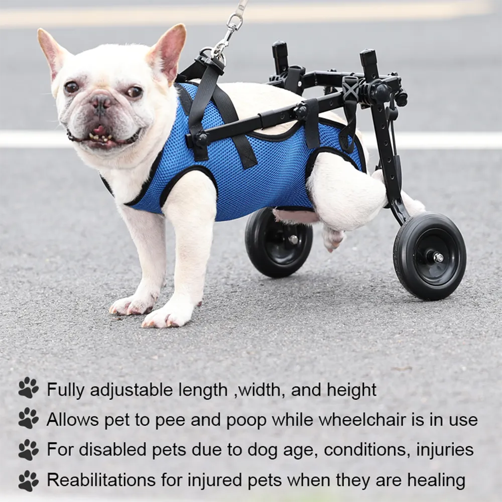 Dog Wheelchair Disability Dog Hind Legs Bracket Cat Dog...