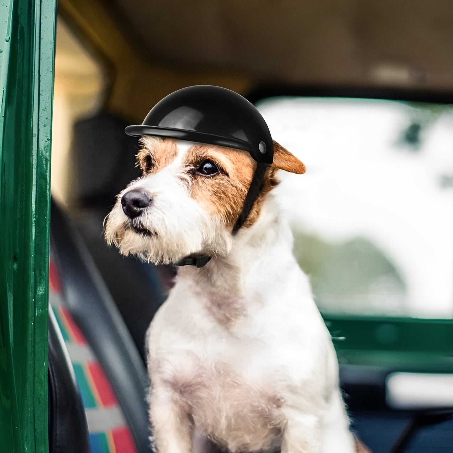 Dog Motorcycle Helmet and Goggles