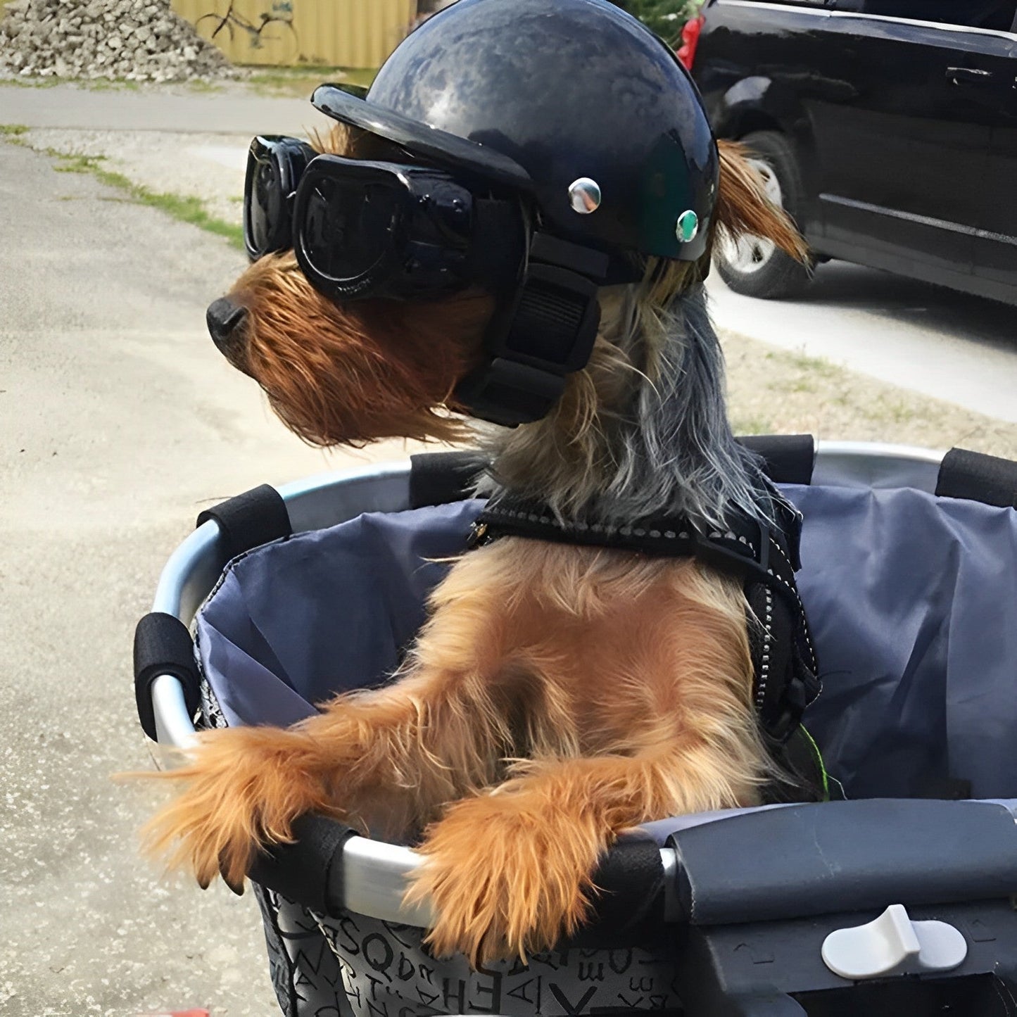 Dog Motorcycle Helmet and Goggles
