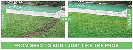 Liquid Lawn Seed Spray - HouseHold Seeding System...