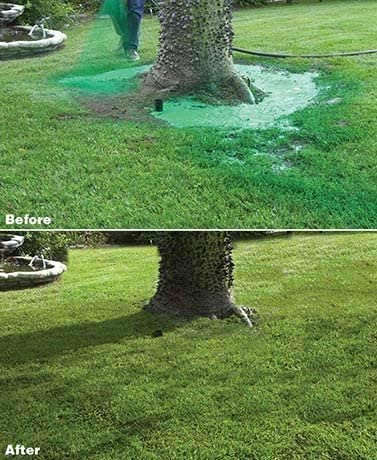 Liquid Lawn Seed Spray - HouseHold Seeding System...