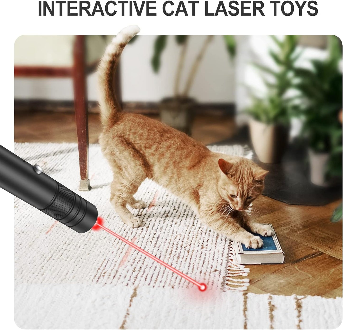 Long Range Green Laser Pointer High Power