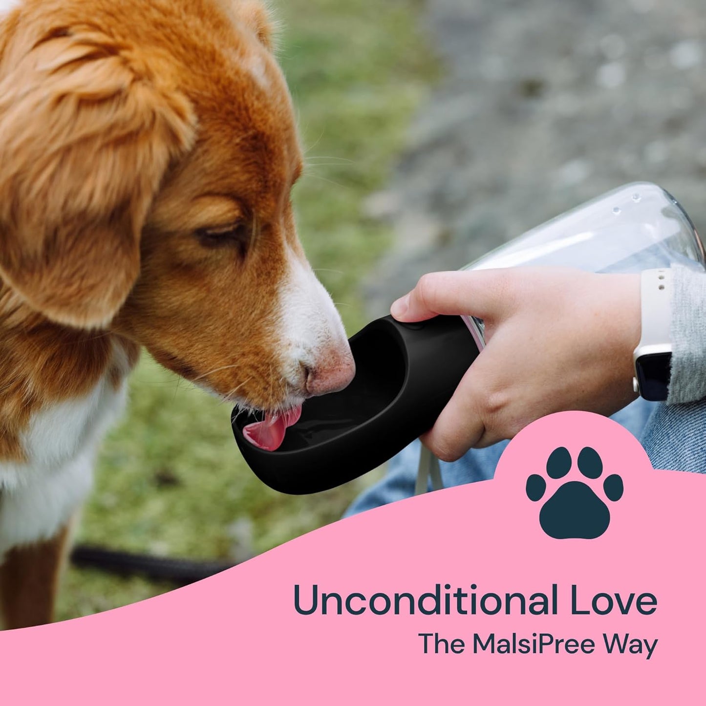 19 Oz Portable Water Bottle for Dogs