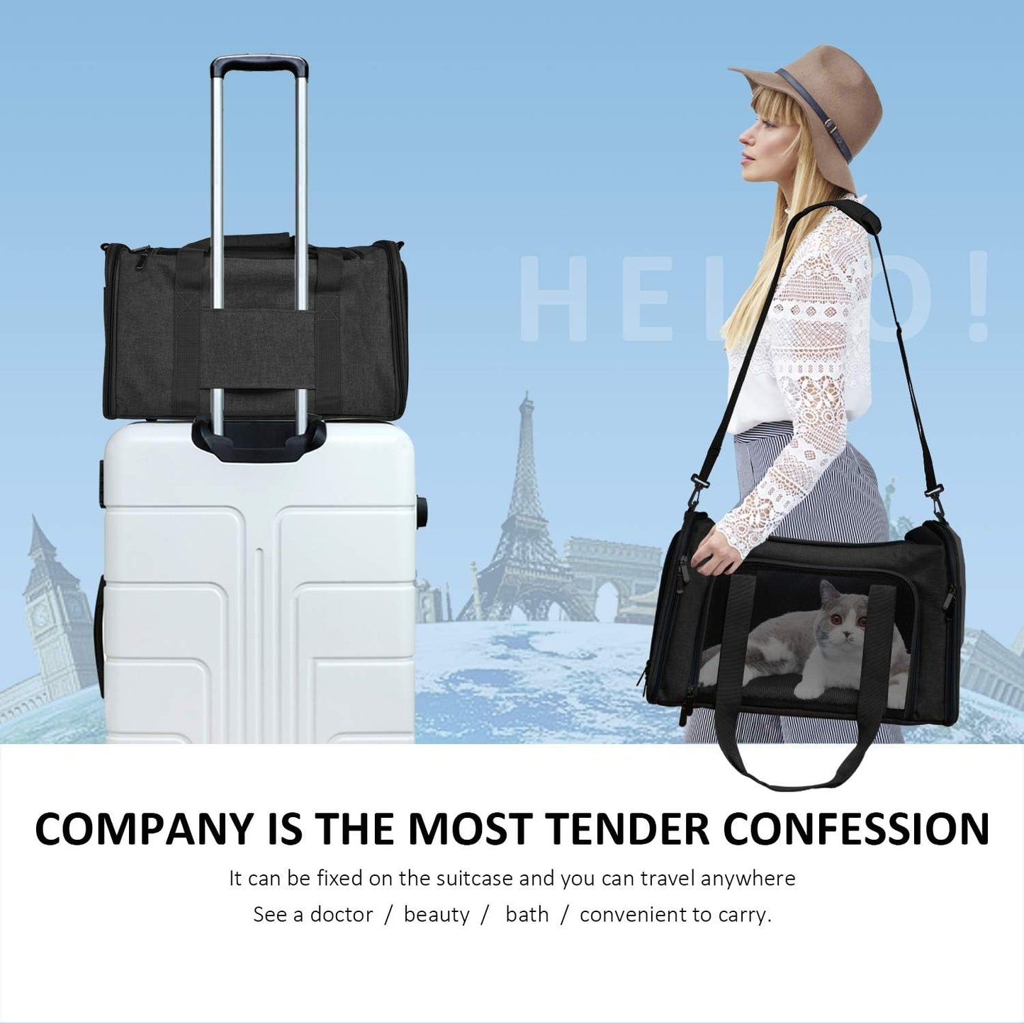 Dog Bag Carrier for Small Medium Cats Dogs Puppies up...