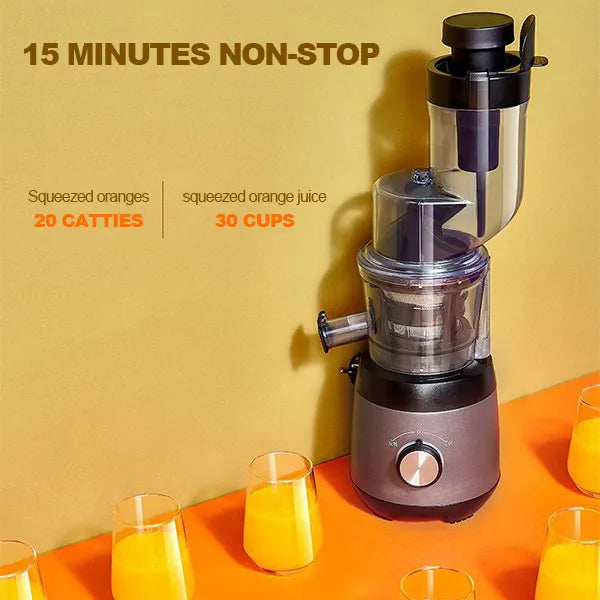 Automatic Juicer - Juicer Household Residue for Fruits...