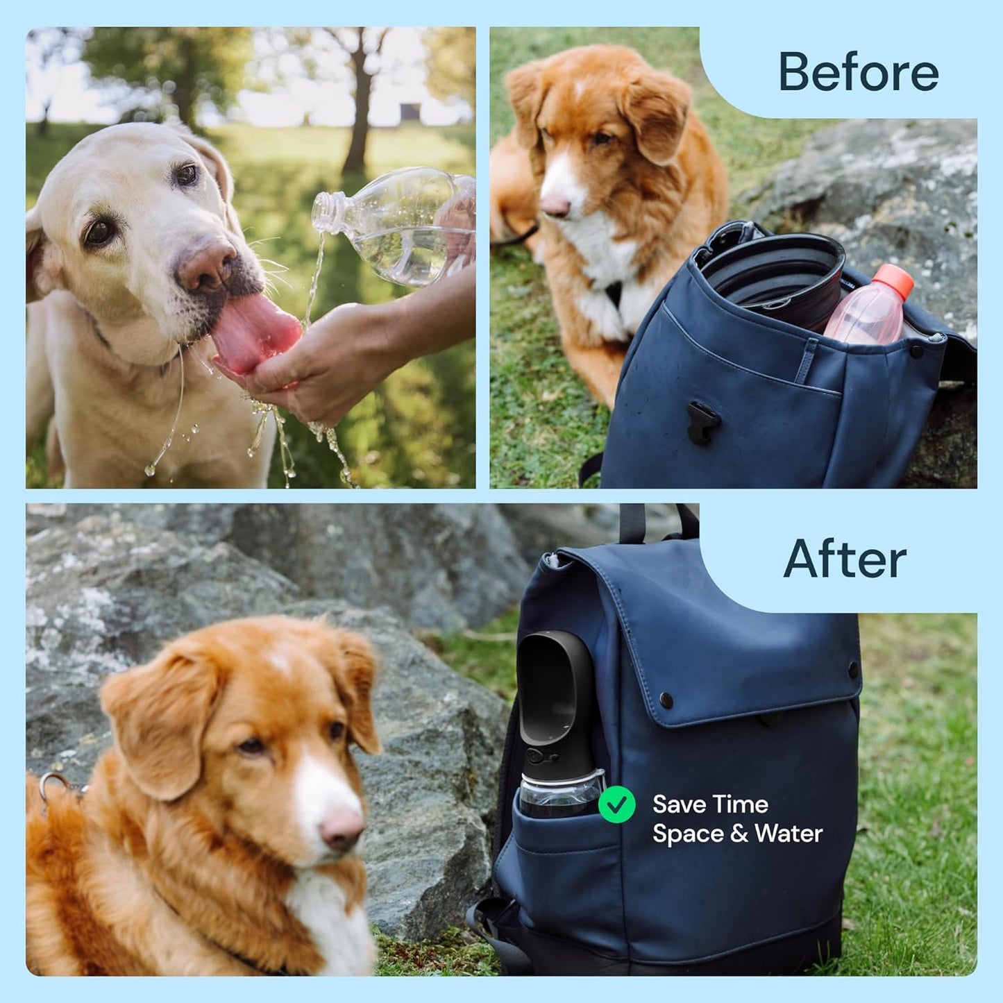 19 Oz Portable Water Bottle for Dogs