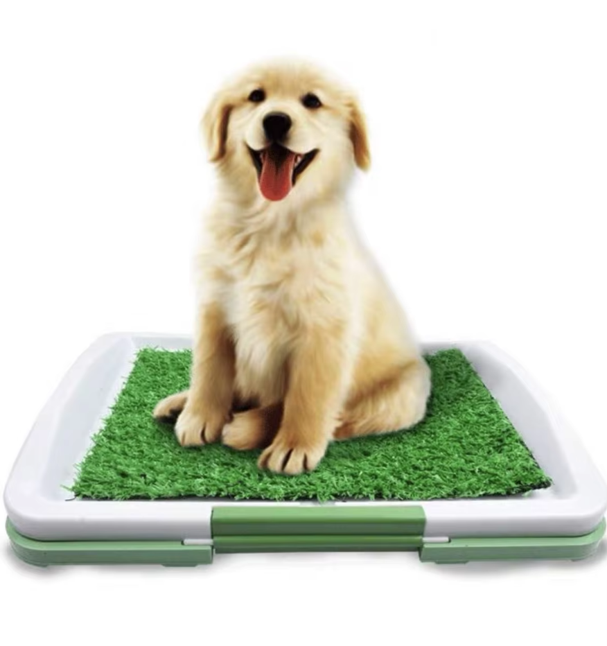 Dog Toilet with Artificial Turf