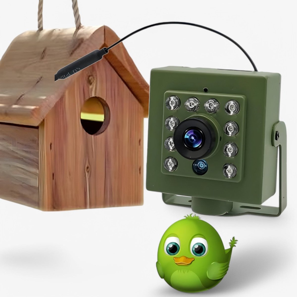 1080p HD Weatherproof Wildlife Camera with Night...