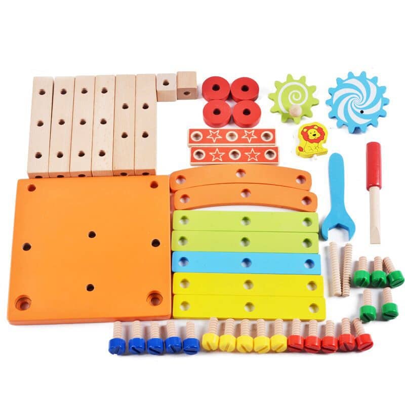 Educational Montessori Wooden Toys for Preschool Children