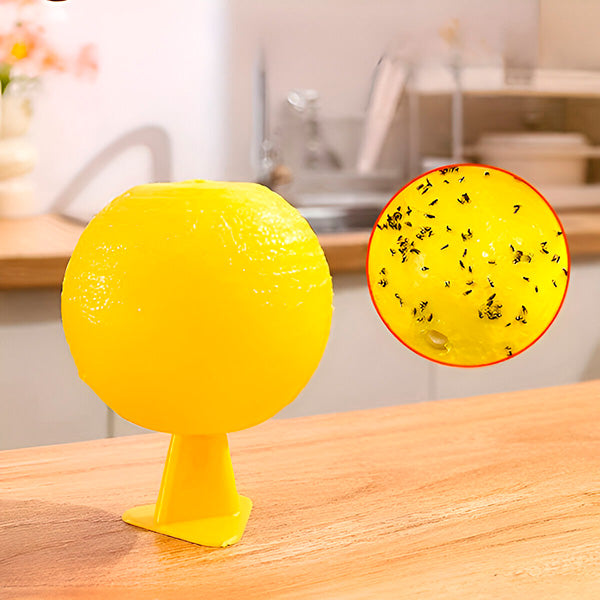 Hanging Fly Trap with Adhesive Layer ( )