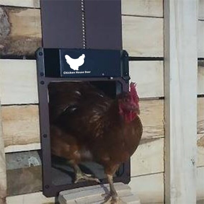 Automatic Chicken Coop Door Opener - Chicken Coop with...