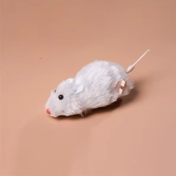 Electric Cat Toy Mouse – Interactive Racing Mouse for...