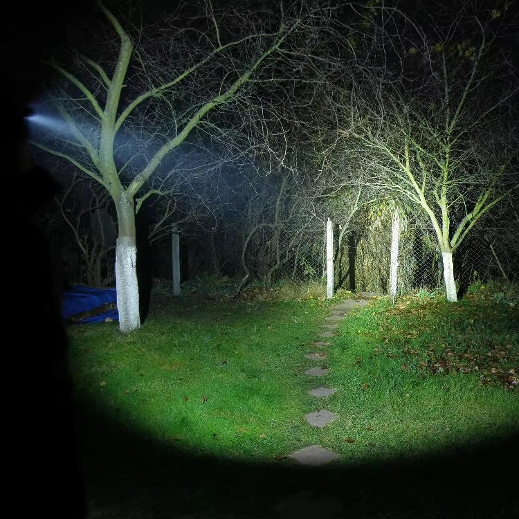 Head Flashlight
