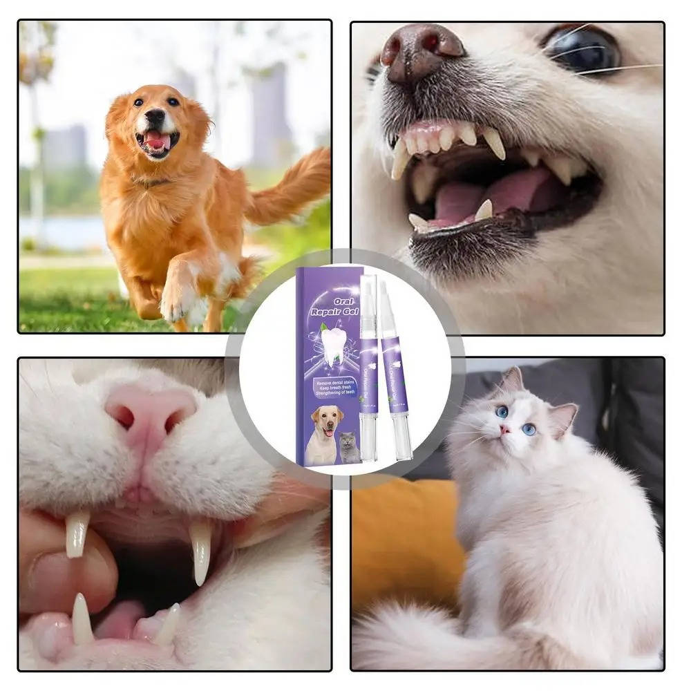 Dog Oral Repair Gel