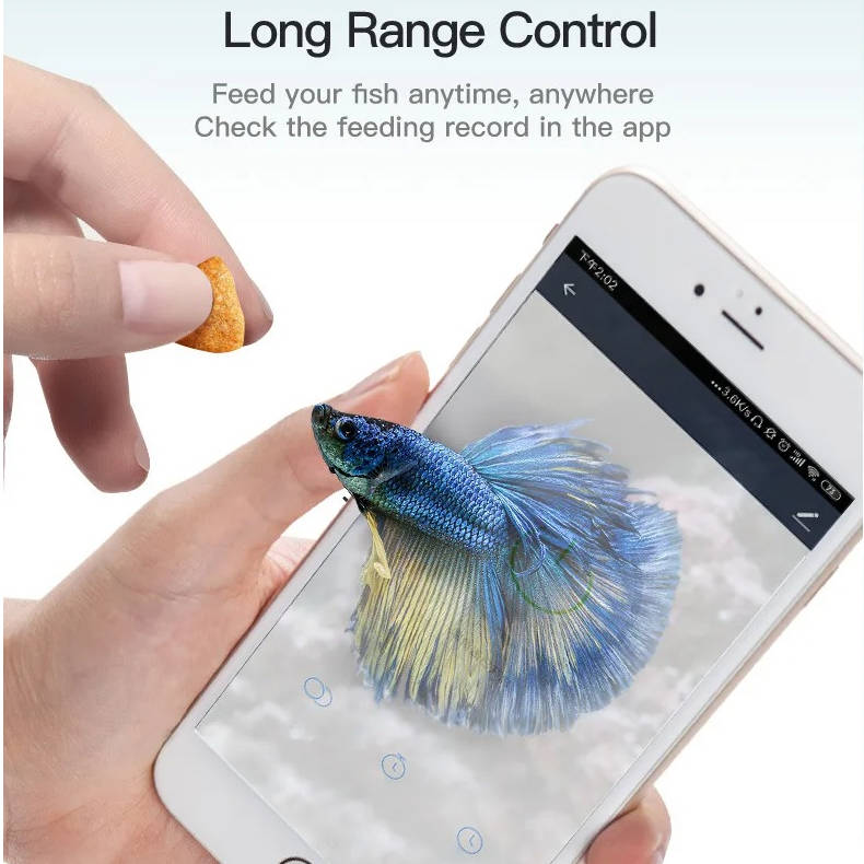 Automatic Food Feeder for Fish