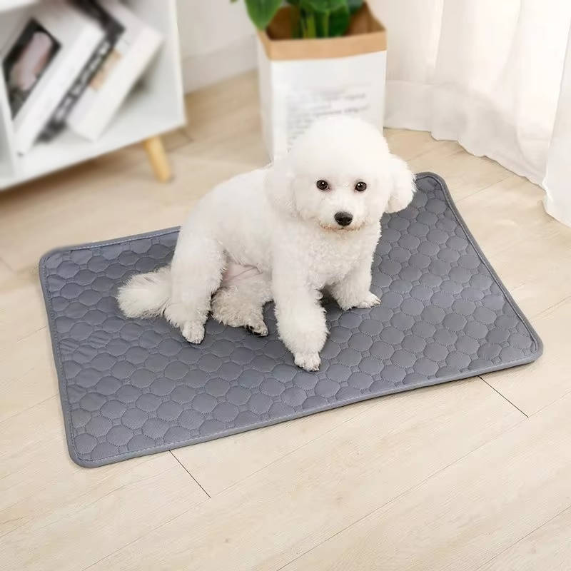 Dog Pee Pads Disposable and Reusable