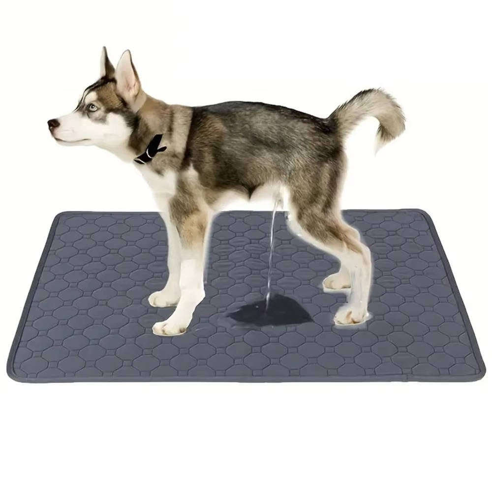 Dog Pee Pads Disposable and Reusable
