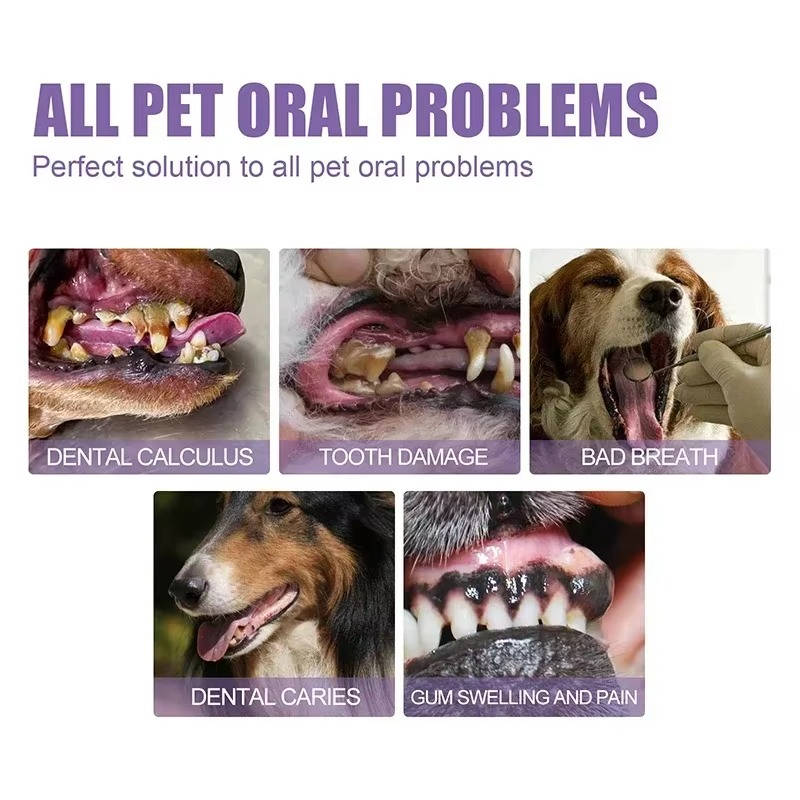 Dog Oral Repair Gel