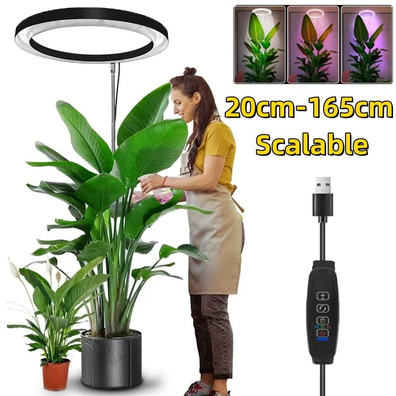 Grow Light for Indoor Plants