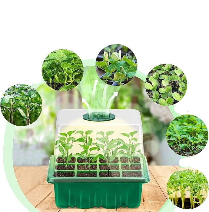 Household Nursery Pot with Lamp - Plant Seed Starter...