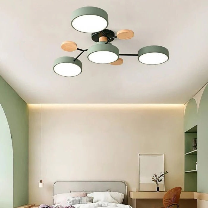 Ceiling Light - Branching Design, Stylish & Sustainable...