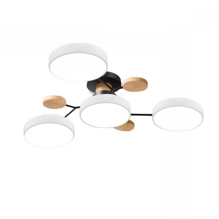 Ceiling Light - Branching Design, Stylish & Sustainable...