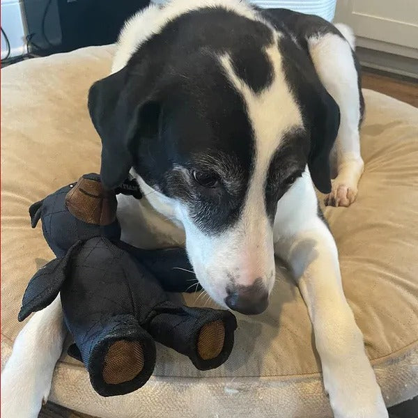 Indestructible & Interactive Bear Dog Toys for Heavy...