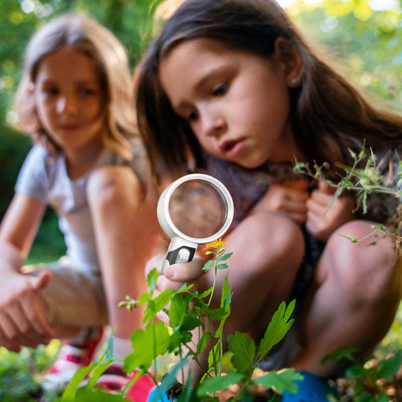 LED Lighted Magnifying Glass – Handheld Reading...