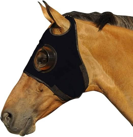 Blinders for Horse