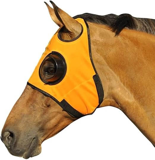Blinders for Horse