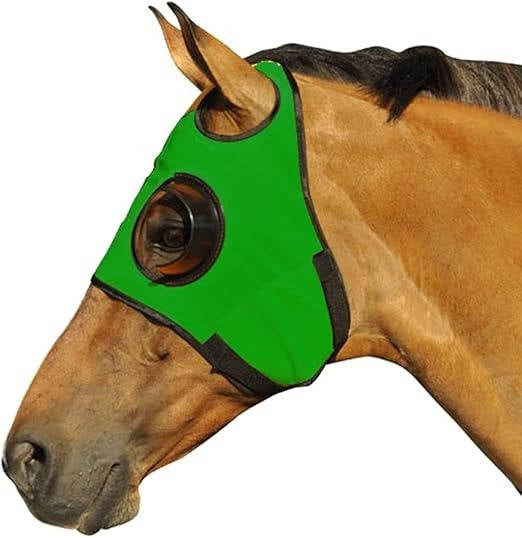 Blinders for Horse