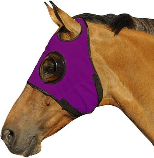 Blinders for Horse