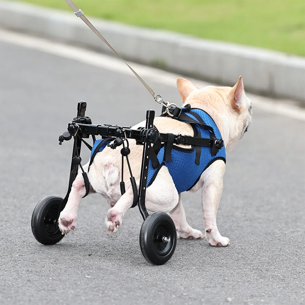 Dog Wheelchair Disability Dog Hind Legs Bracket Cat Dog...