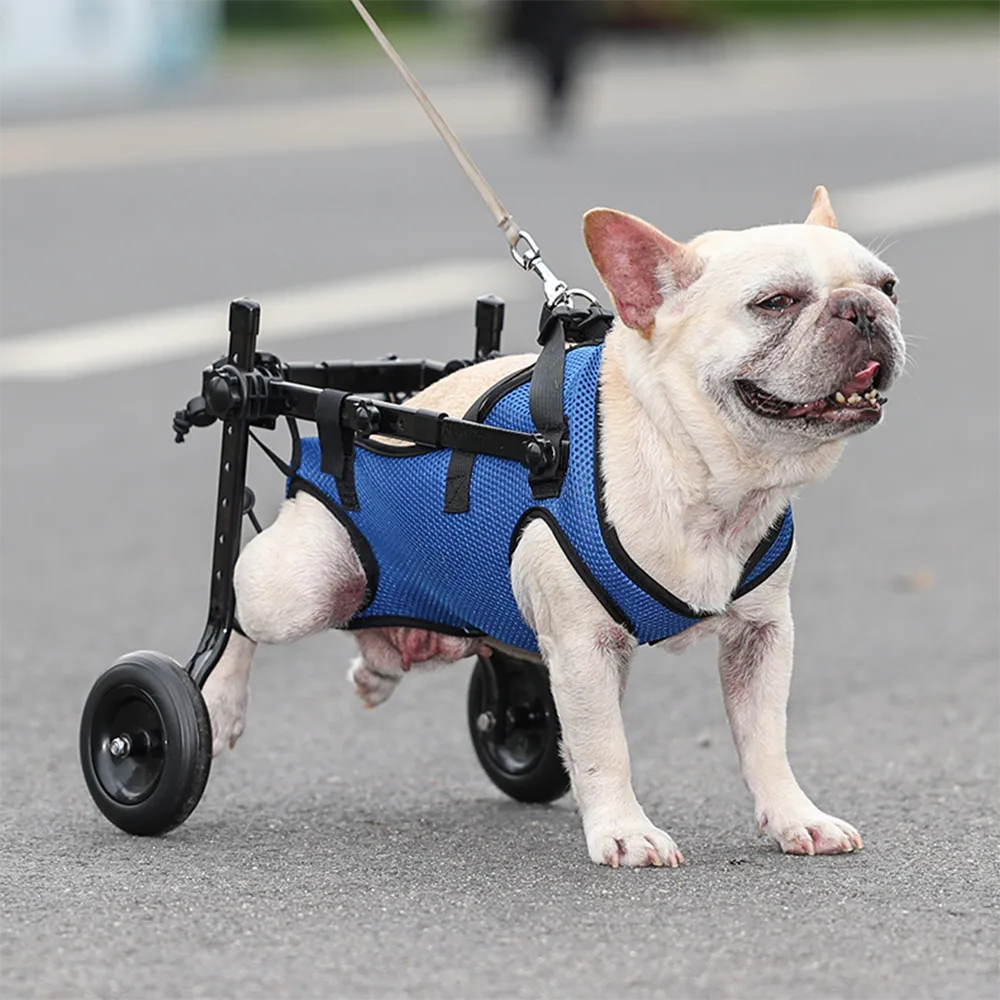 Dog Wheelchair Disability Dog Hind Legs Bracket Cat Dog...